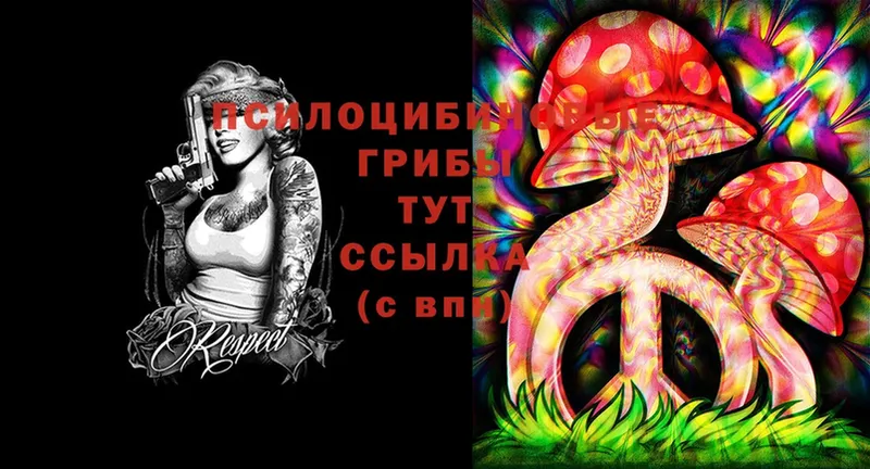 Галлюциногенные грибы Magic Shrooms  shop как зайти  Балашов  купить наркотик 